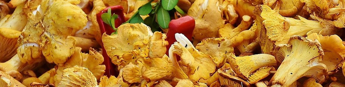 Speiseservice der Rennsteig-Werkstätten Neuhaus - Neuhaus am Rennweg