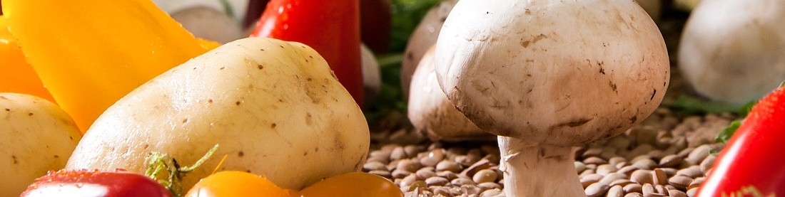 Speiseservice der Rennsteig-Werkstätten Neuhaus - Neuhaus am Rennweg